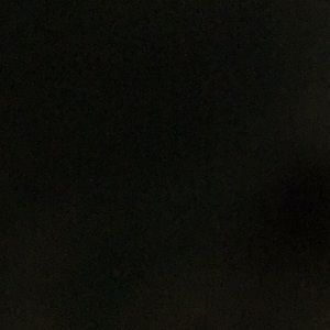 Meet your Posher, Pamela